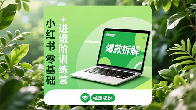 小红书零基础+高阶训练营:安全养号、爆款拆解、长效运营,实现稳定涨粉与变现-破浪圈