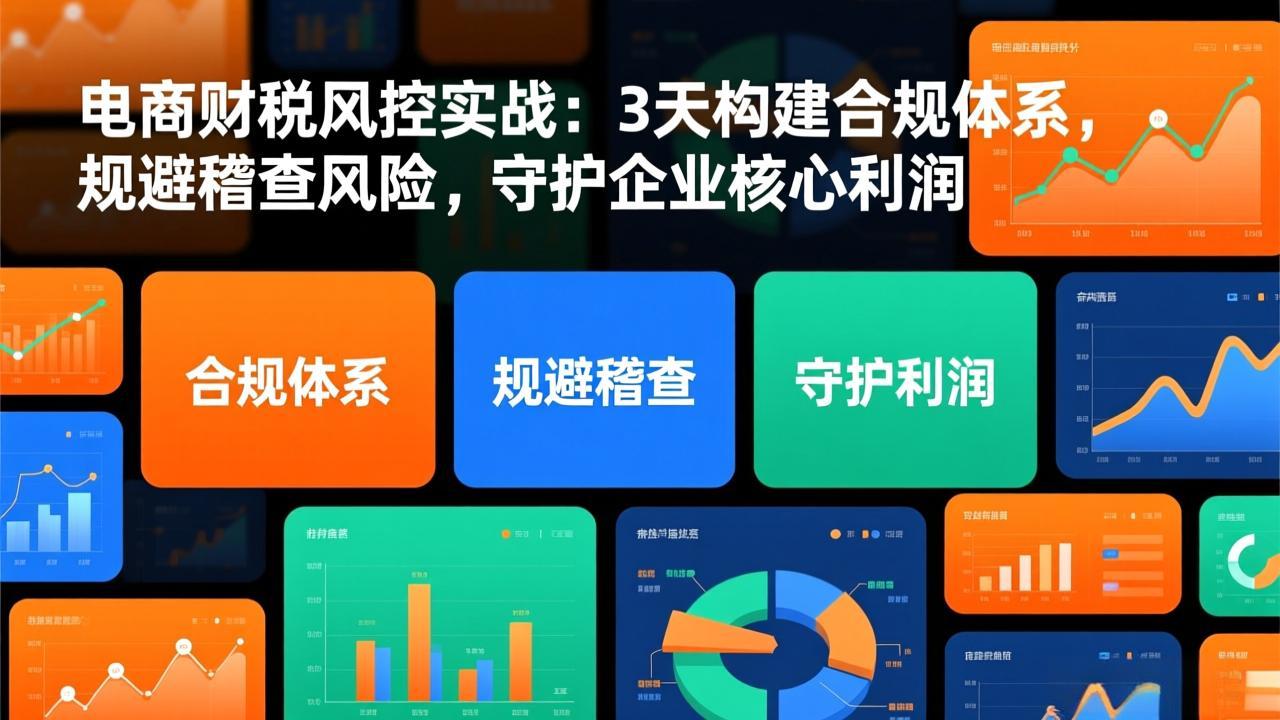 电商财税风控实战:3天构建合规体系,规避稽查风险,守护企业核心利润-破浪圈