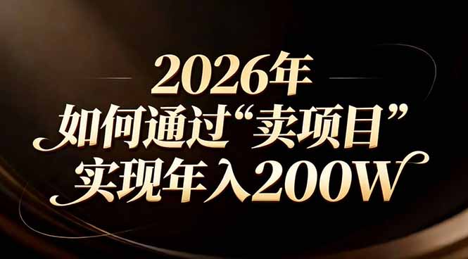 站在2026年的十字路口:一个普通人如何通过卖项目实现年入200万-破浪圈